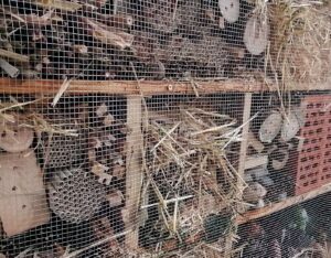 2021 06 Insektenhotel Schule IMG 20210708 090115