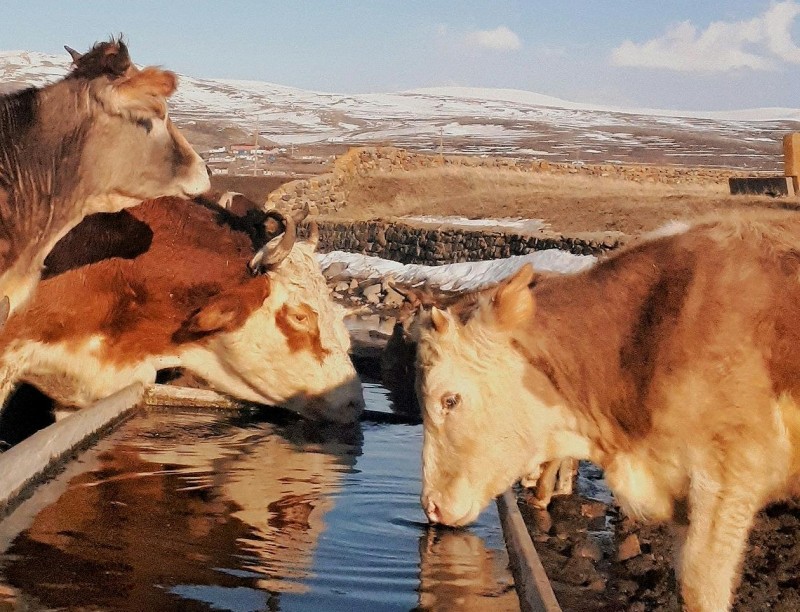 PM proQwasser pexels hatice 159587543 10790279